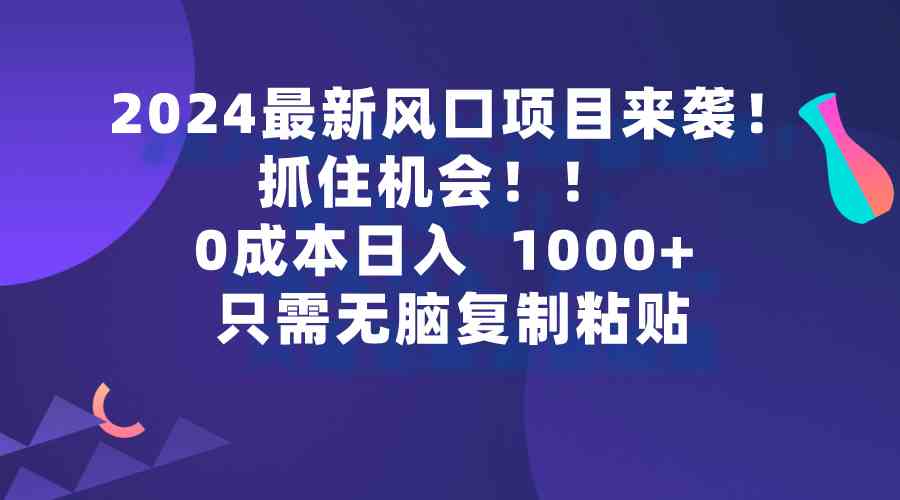 （9899期）2024最新风口项目来袭，抓住机会，0成本一部手机日入1000+，只需无脑复…-iTZL项目网