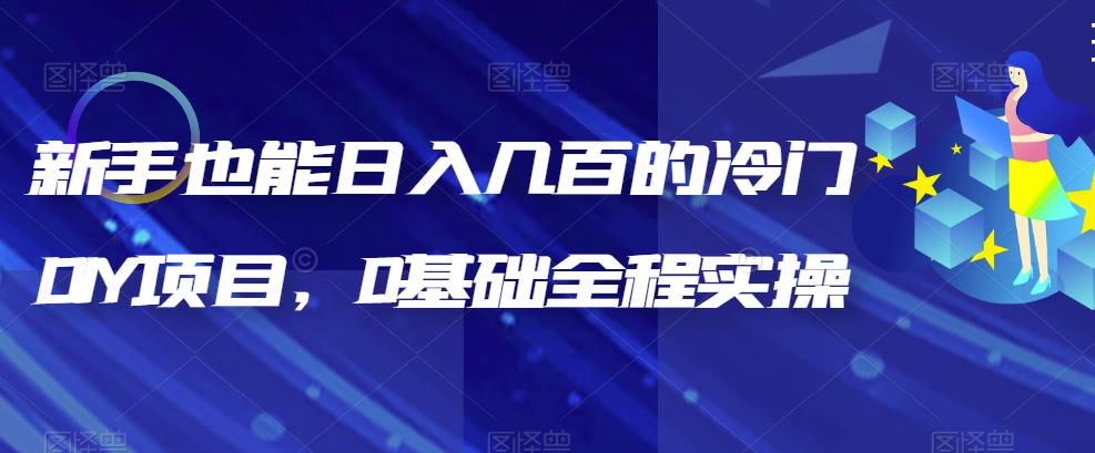（6630期）新手也能日入几百的冷门DIY项目，0基础全程实操【揭秘】-iTZL项目网