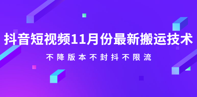 （2141期）抖音短视频11月份最新搬运技术，不降版本不封抖不限流！【视频课程】-iTZL项目网