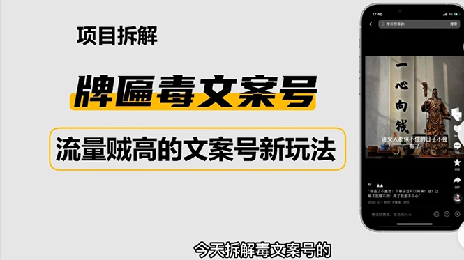 （4676期）2023抖音快手毒文案新玩法，牌匾文案号，起号快易变现-iTZL项目网