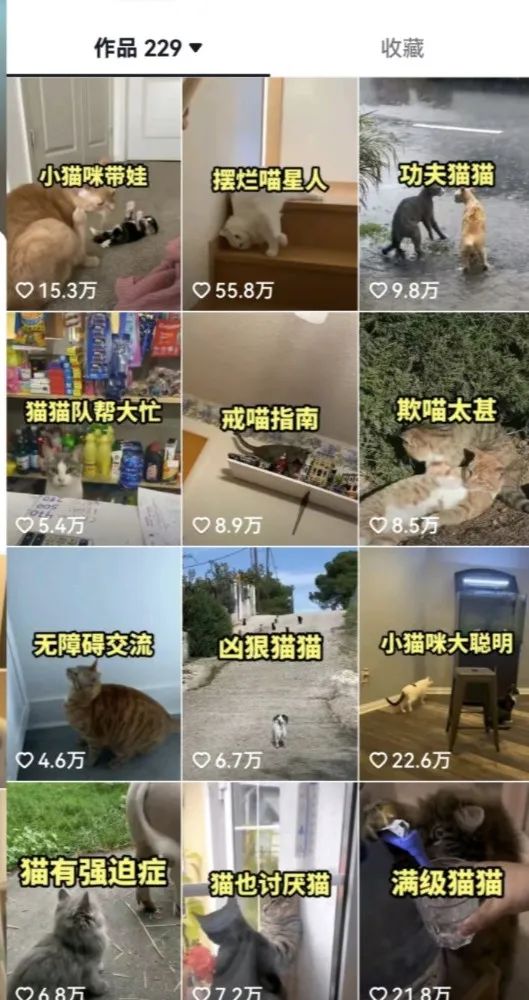 图片[3]-（6568期）拆解：抖音盘点类中视频变现副业项目，视频版一条龙大解析分享给你-iTZL项目网