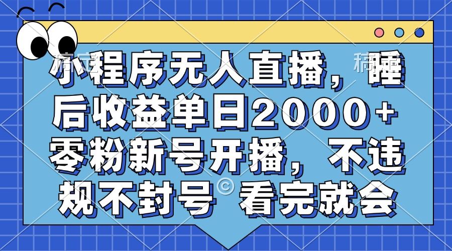 （13251期）小程序无人直播，睡后收益单日2000+ 零粉新号开播，不违规不封号 看完就会-iTZL项目网