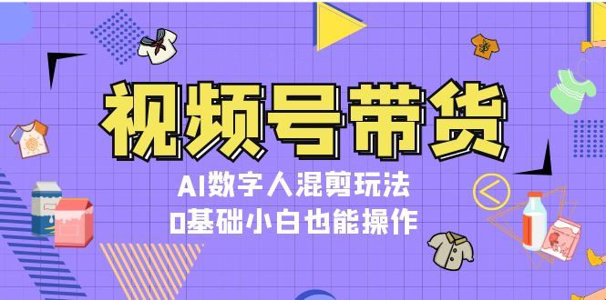 （13359期）视频号带货，AI数字人混剪玩法，0基础小白也能操作-iTZL项目网