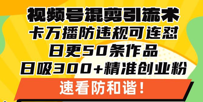 （13400期）视频号混剪引流技术，500万播放引流17000创业粉，操作简单当天学会-iTZL项目网