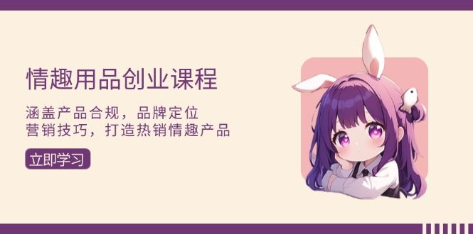 （13682期）情趣用品创业课程：涵盖产品合规，品牌定位，营销技巧，打造热销情趣产品-iTZL项目网