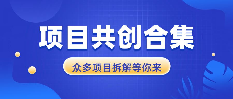 （13778期）项目共创合集，从0-1全过程拆解，让你迅速找到适合自已的项目-iTZL项目网