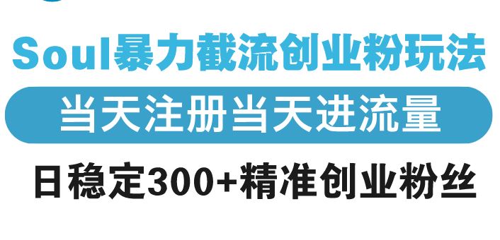 （13935期）Soul暴力截流创业粉玩法，当天注册当天进流量，日稳定300+精准创业粉丝-iTZL项目网