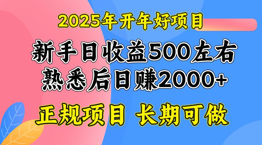 （14076期）2025开年好项目，单号日收益2000左右-iTZL项目网