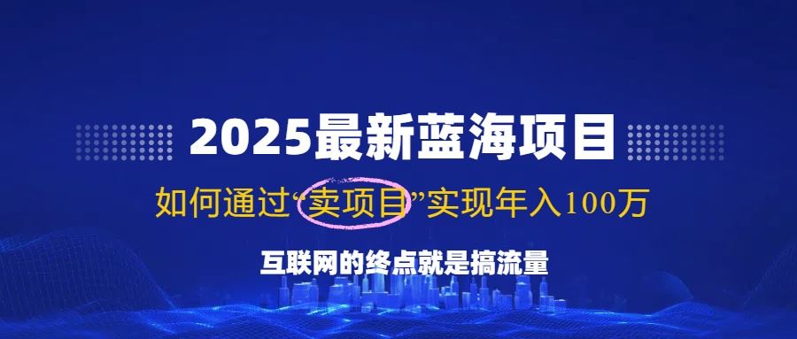 （14305期）2025最新蓝海项目，零门槛轻松复制，月入10万+，新手也能操作！-iTZL项目网