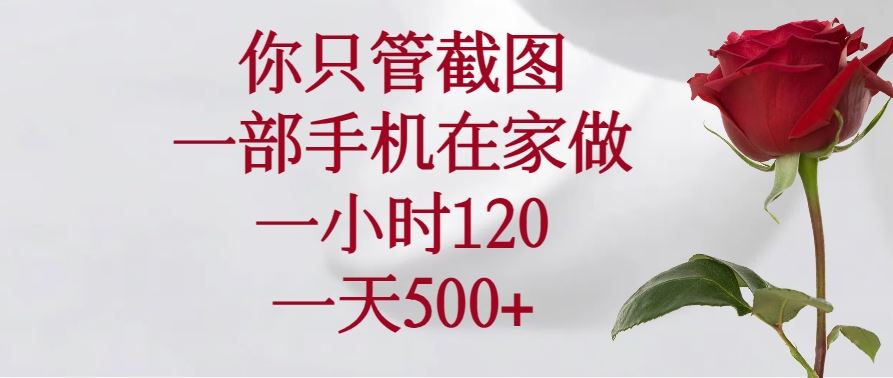 （14248期）你只管截图，一部手机在家做，一小时120，一天500+-iTZL项目网