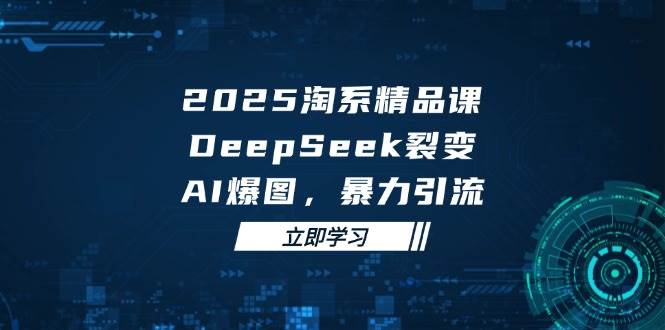 （14639期）2025 淘系精品课，DeepSeek 裂变，AI 爆图，暴力引流-iTZL项目网