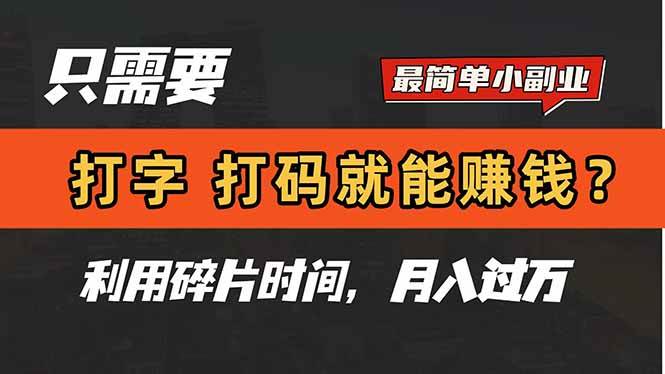 （14673期）只需要打字，打码，就能赚钱？简单的赚钱小副业，利用碎片时间，月入过万-iTZL项目网