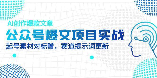 （14709期）公众号爆文项目实战，AI创作爆款文章，起号素材对标赠（附赛道AI提示词）-iTZL项目网