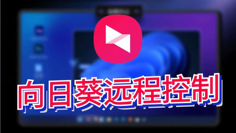 向日葵简约版免安装绿色运行-iT助理